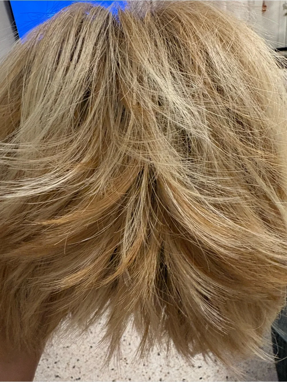 TONI BRATTIN FASHION FLAIR Short Shag Heat Friendly Synthetic Wig! Blonde Rooted - Picture 7 of 12